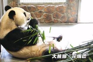 ?无西卡猛龙首节怒轰41分 净胜23分揍懵热火